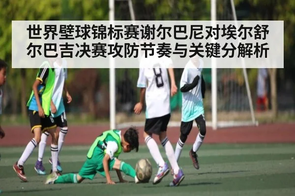 世界壁球锦标赛谢尔巴尼对埃尔舒尔巴吉决赛攻防节奏与关键分解析(kaiyun.com)